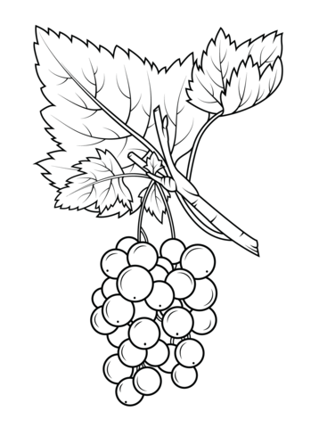 Red Gooseberry Coloring Page